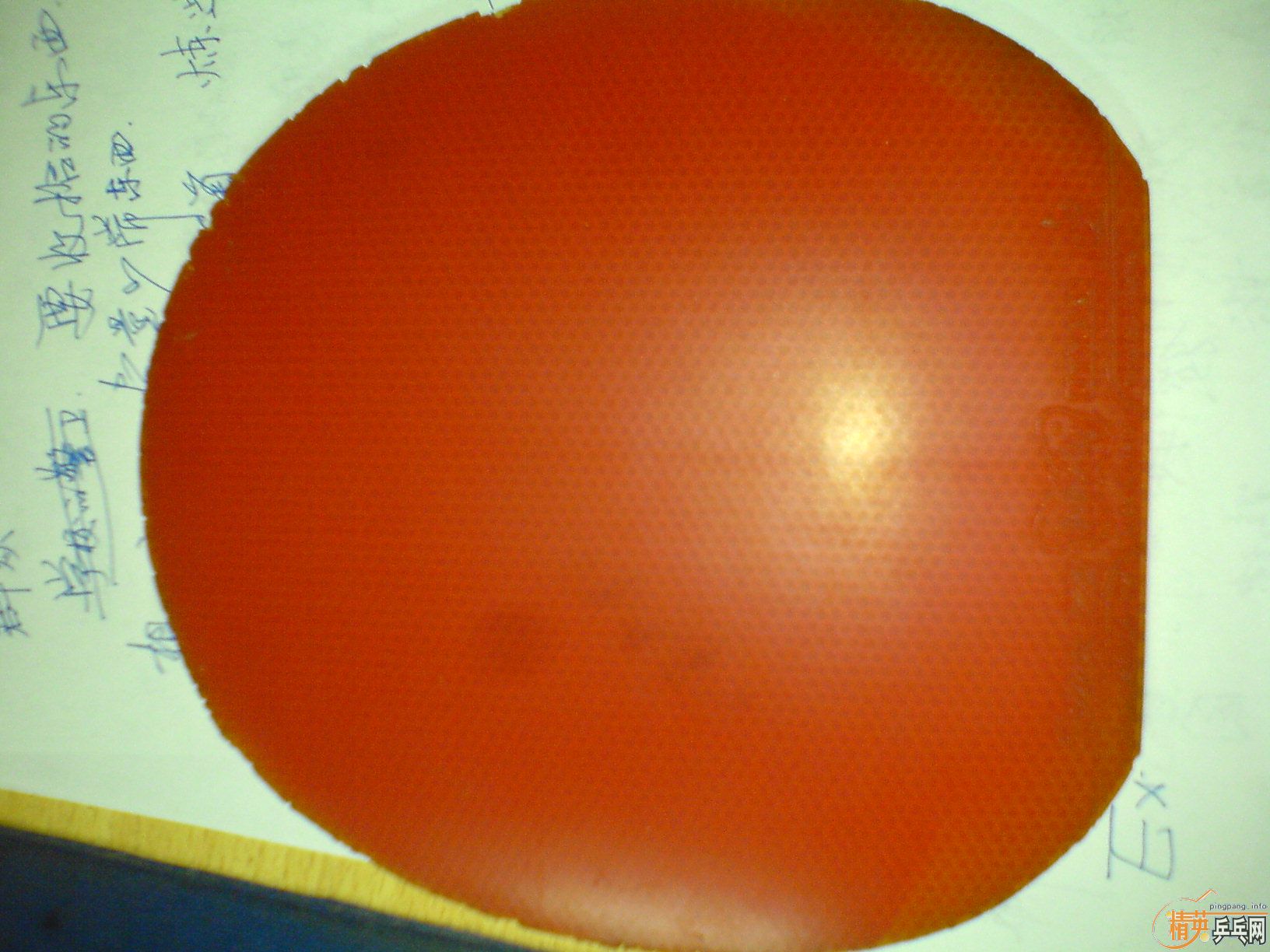 EL+FX=���˼ۣ�������