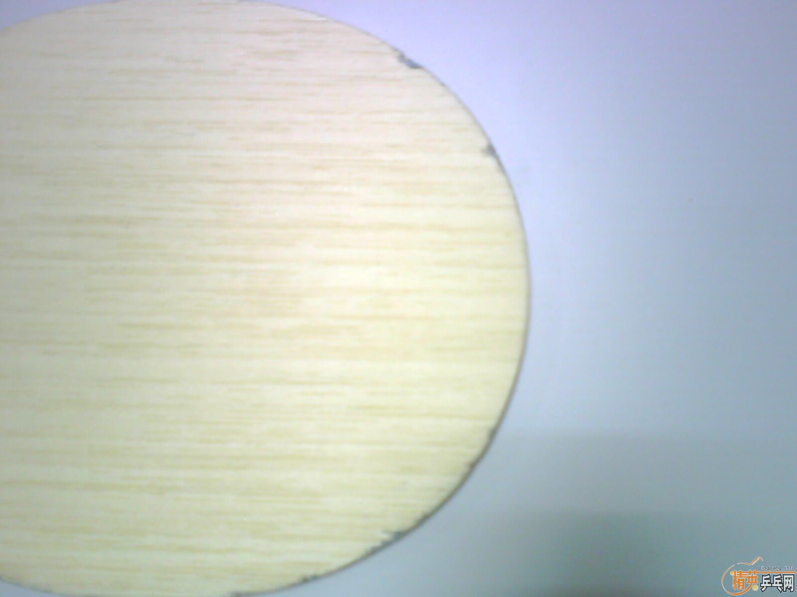 ���������ƺ�����