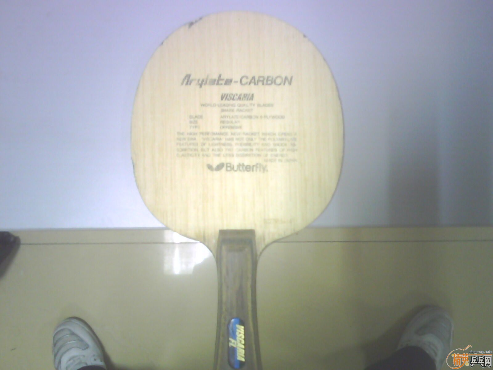 ���������ƺ�����