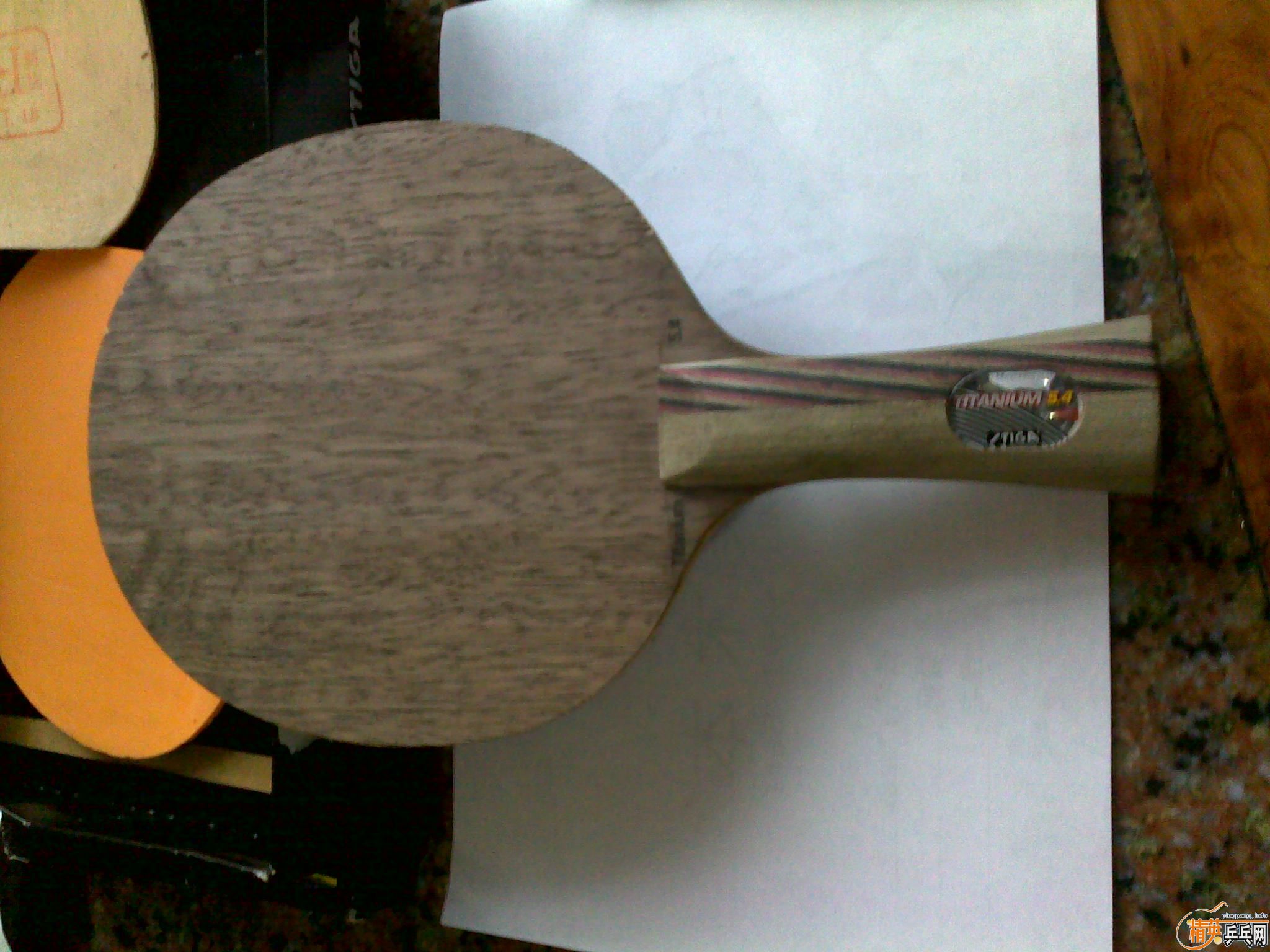 �ٳ���54 ��壺����Ƥ220�����