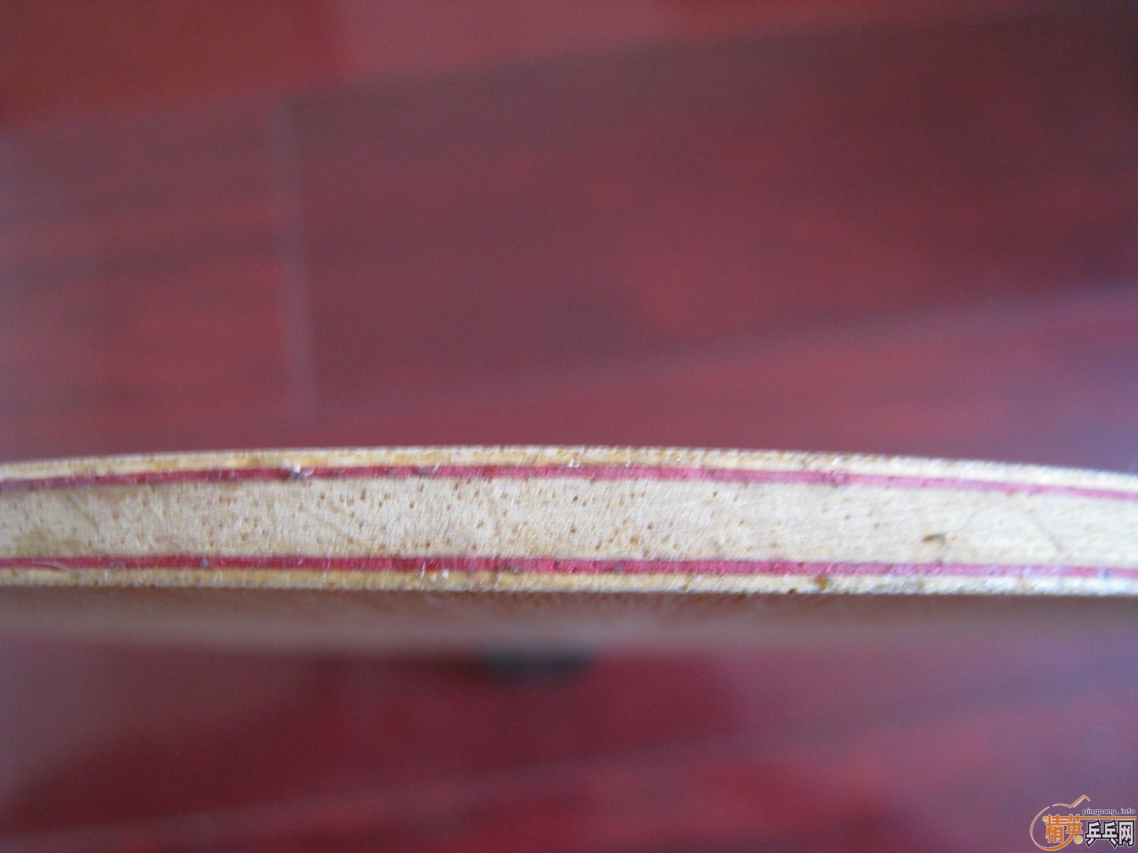 ��������ľ����˫ϲħ��ʦ�����µ�ī����