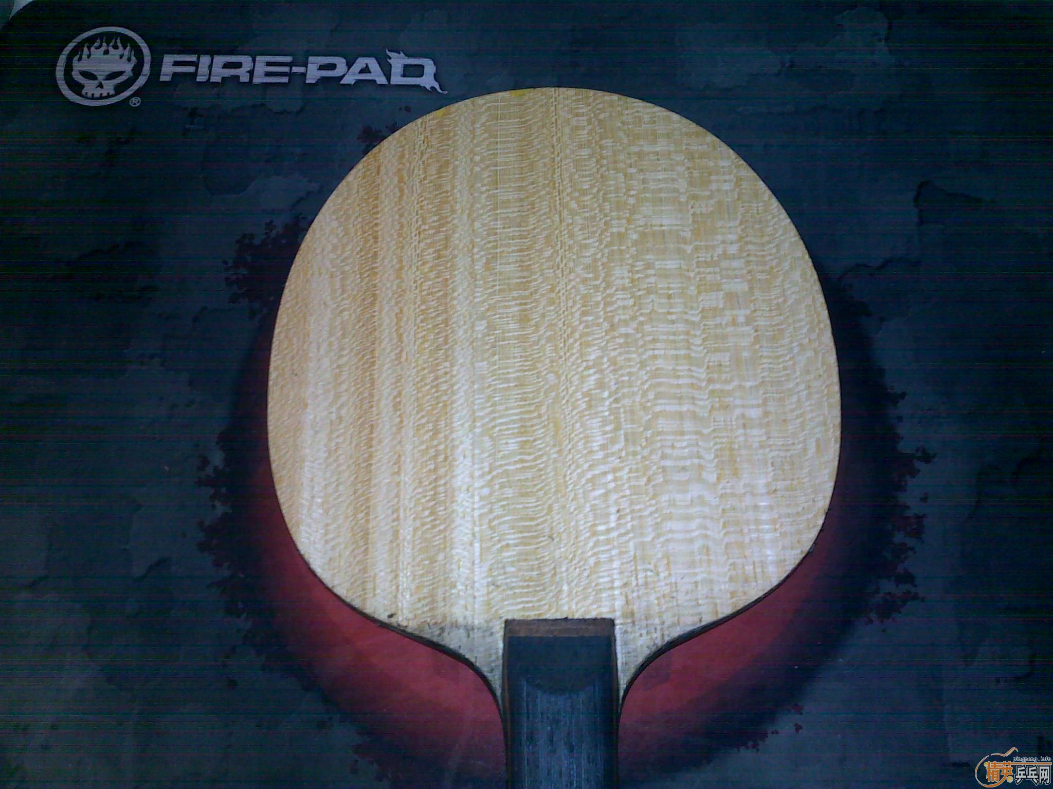 ���ۣ�FL��BOLL  FL����ƷС���٣�