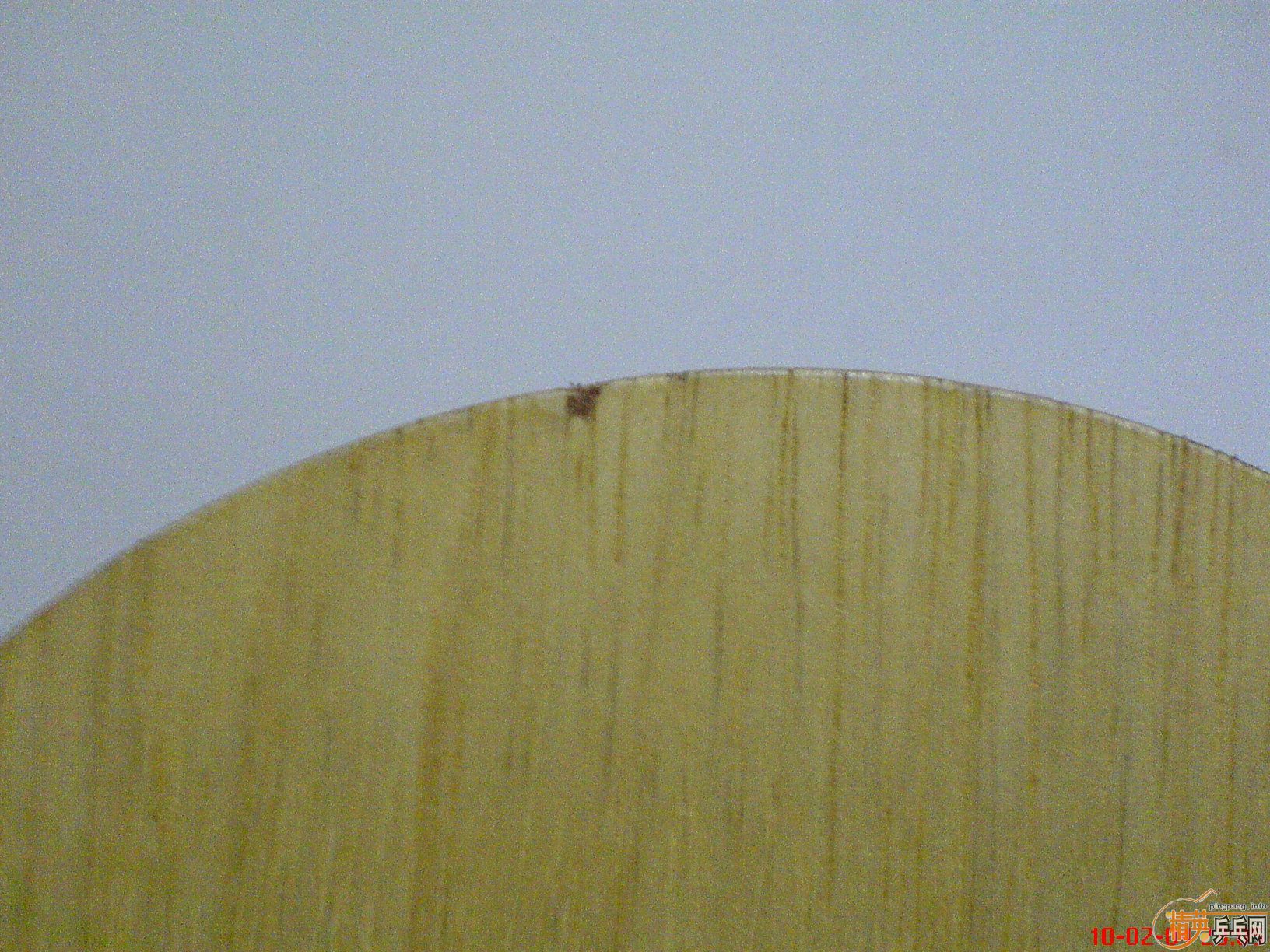 ����̼YCA230Ԫ ����