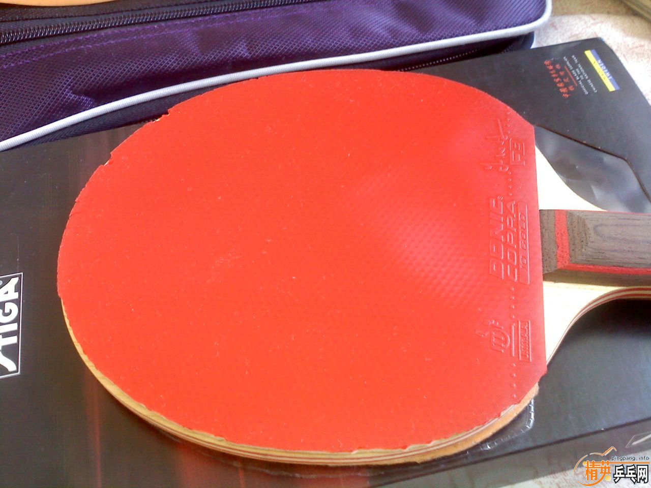 ��ɫ��JO��CL���棬100����