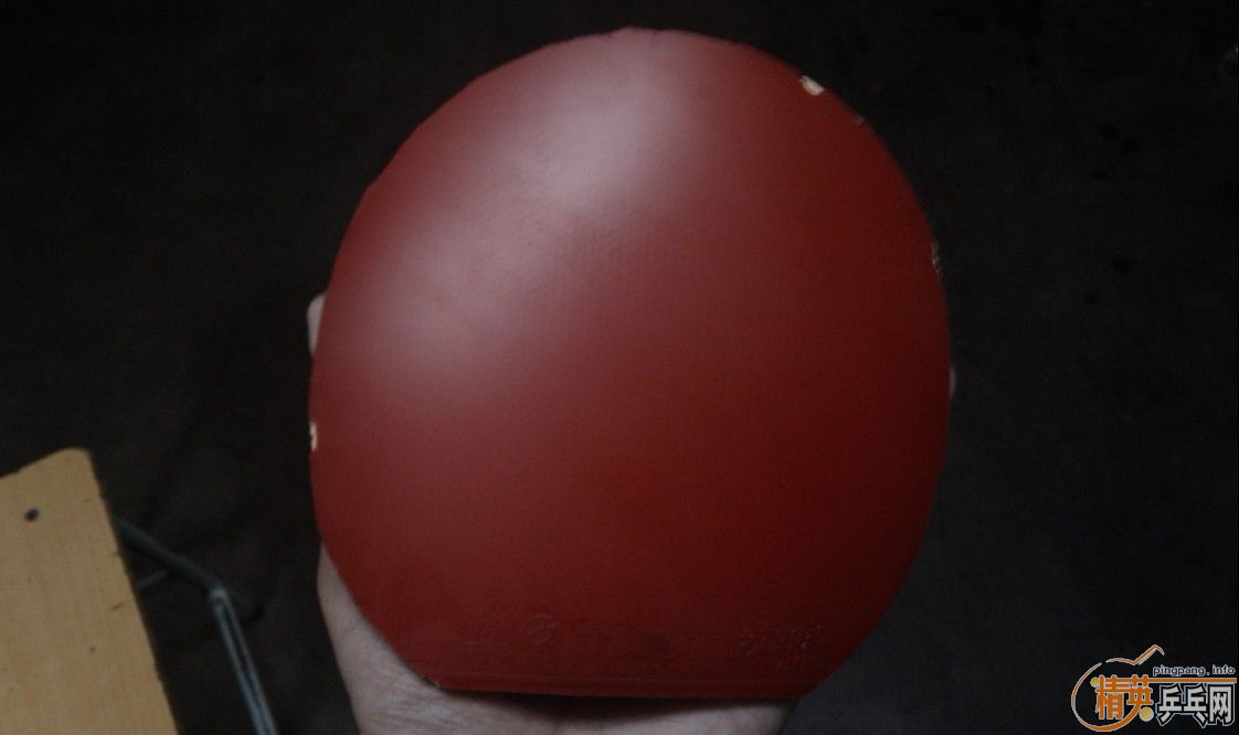 ������ġ�����˹���ҡ�FX������˫ϲTNT