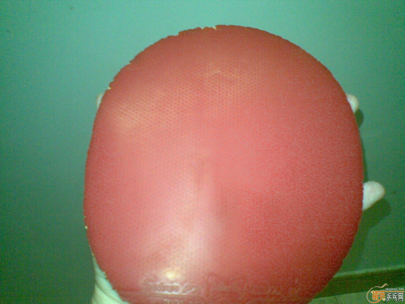 ����˰׽�JO