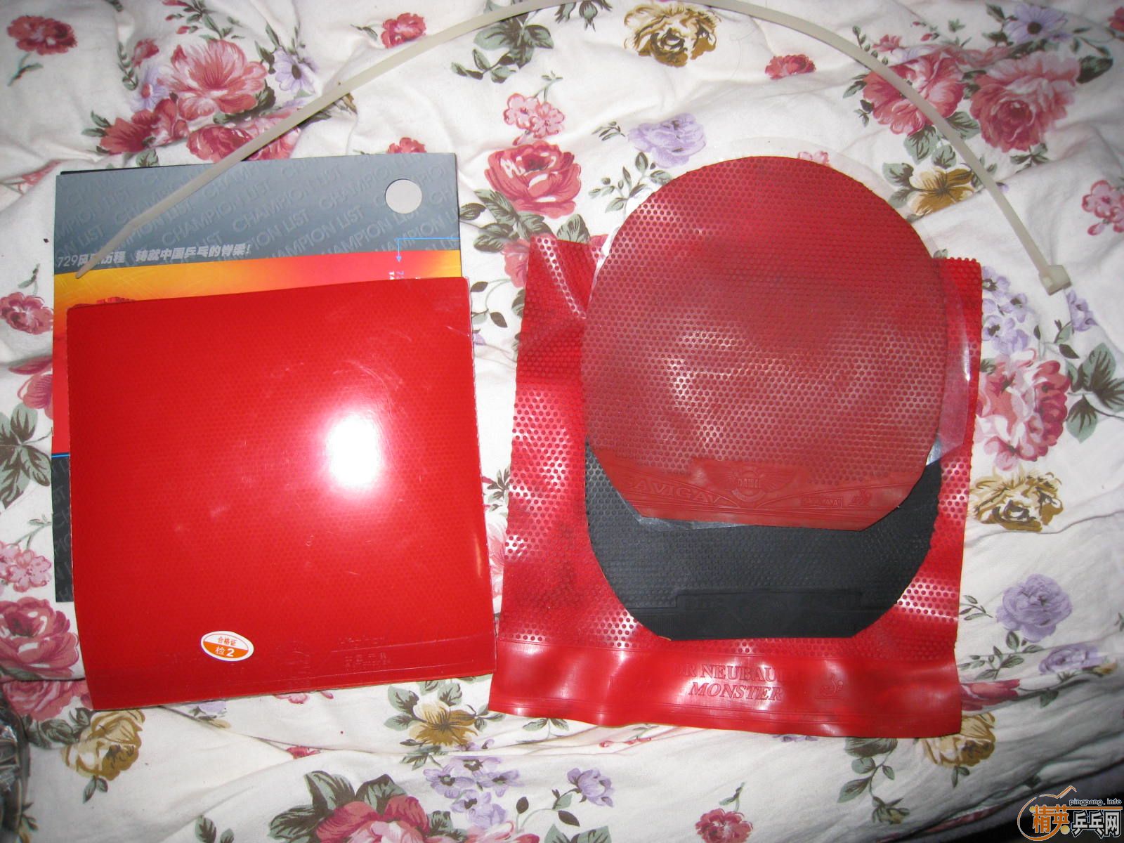 ���ĳɹ�����һ�¡�ƹ��[ħ��]���ϵ�