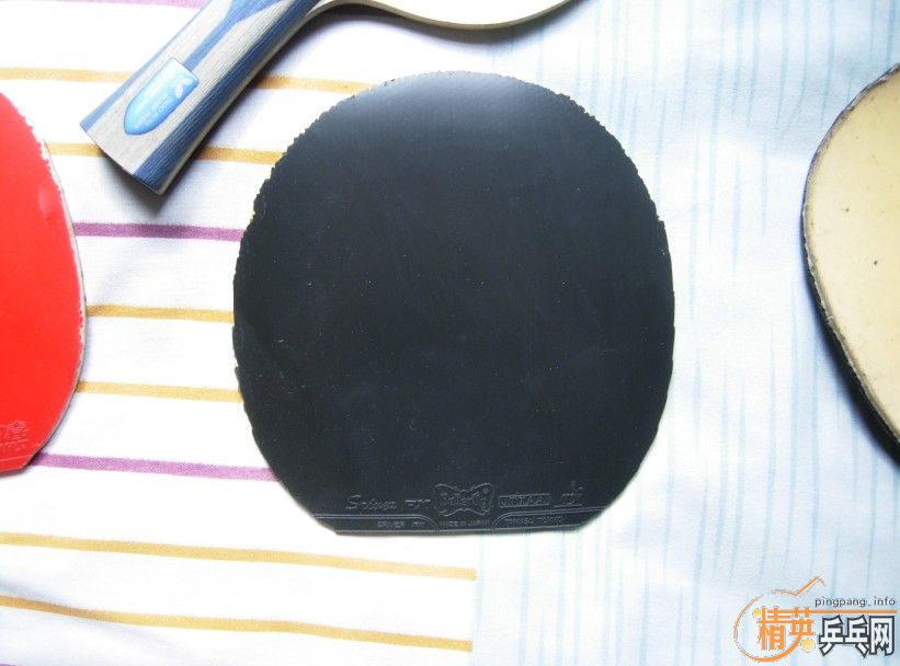 ������ġ�����˹���ҡ�FX������˫ϲTNT