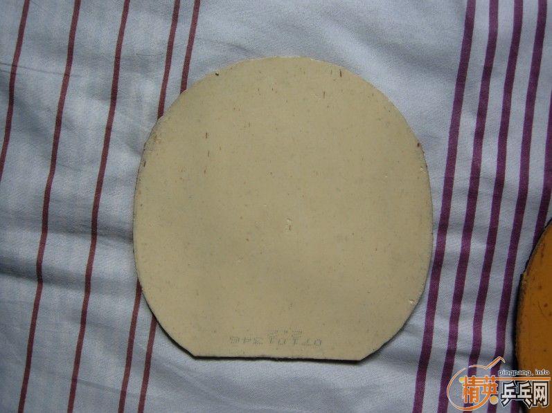 ������ġ�����˹���ҡ�FX������˫ϲTNT