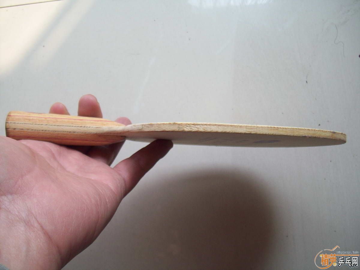 ���л�������SP5  �ͽ�Ƥ