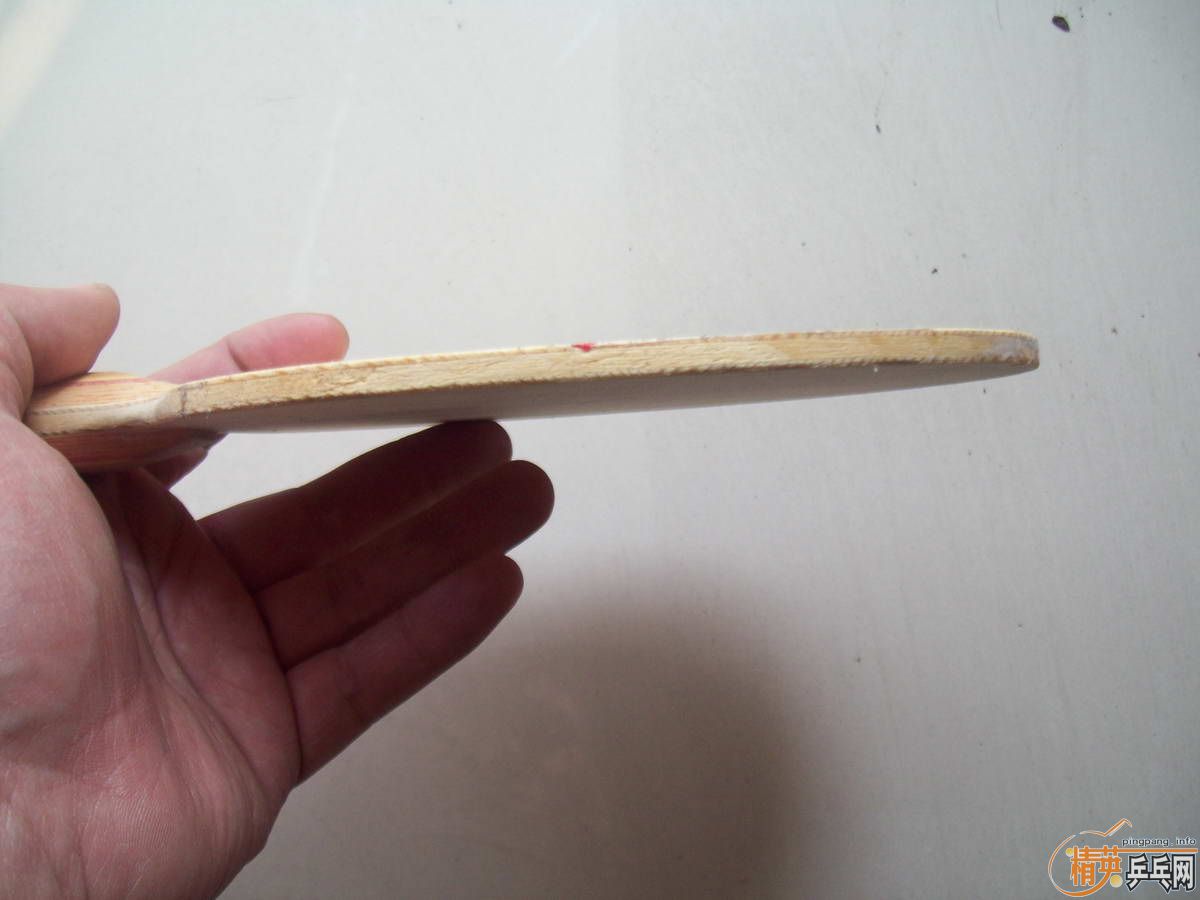 ���л�������SP5  �ͽ�Ƥ