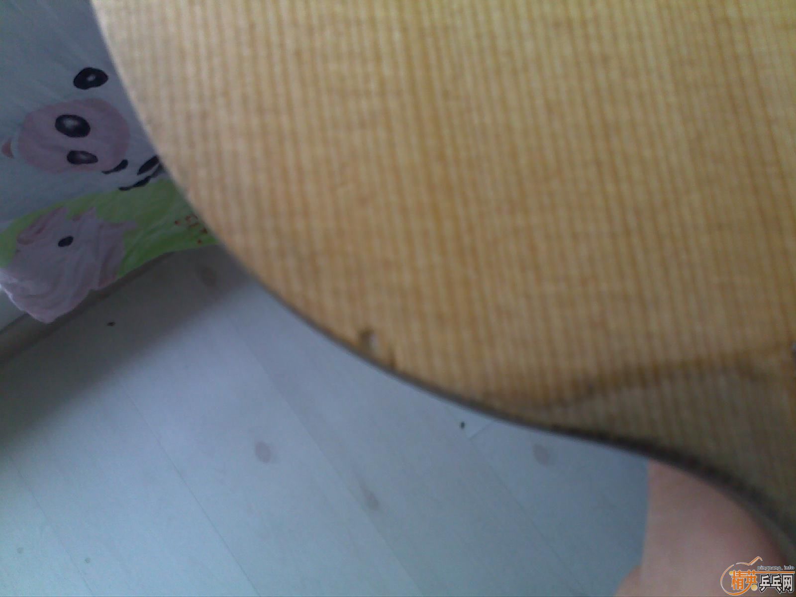 ��ʩ̼fl,����