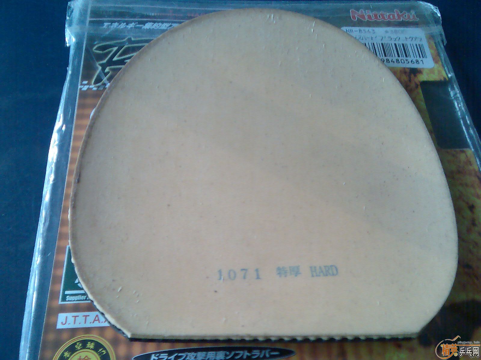 Ԫ����5�Ž�Ƥ