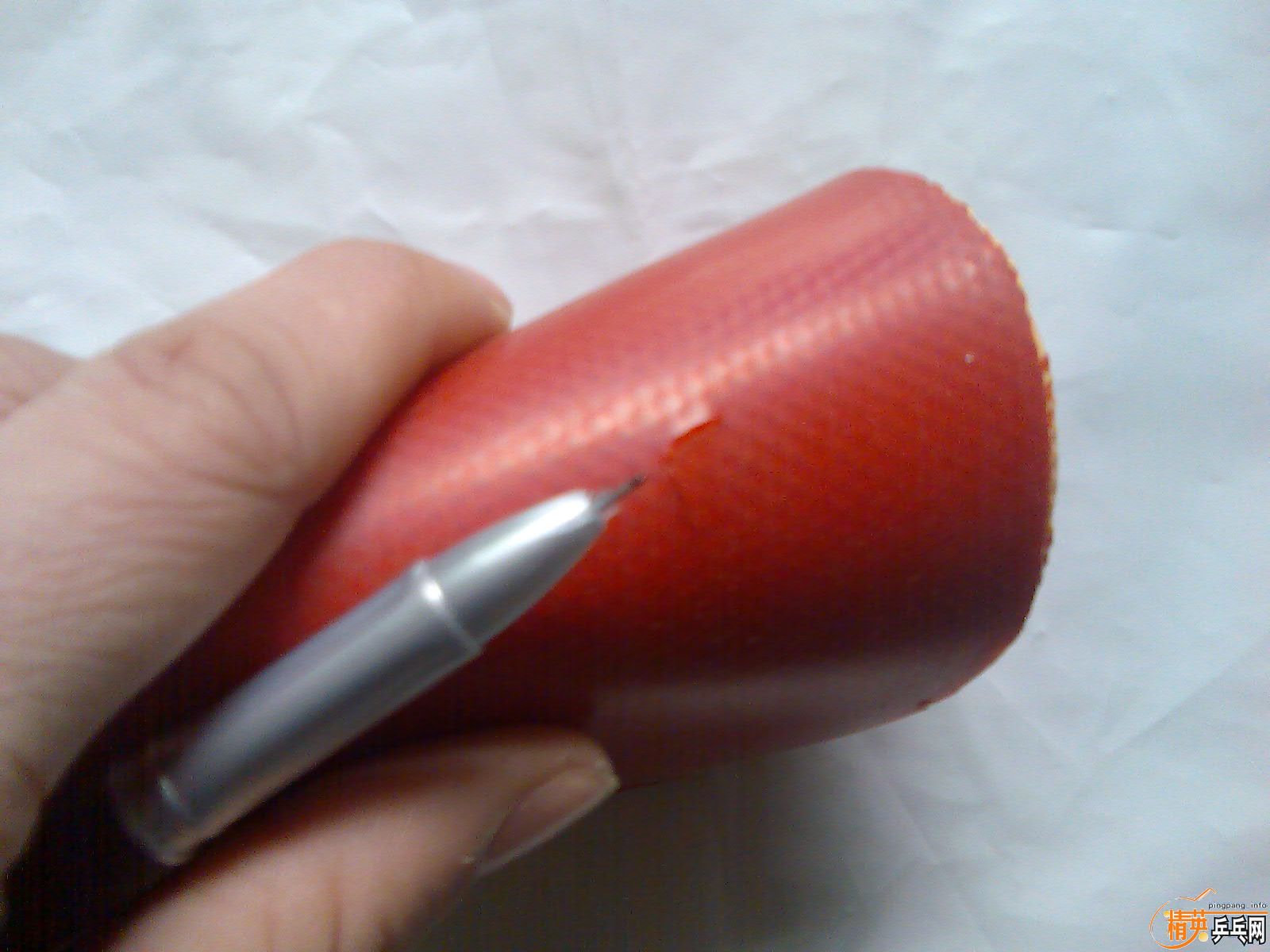 Ԫ����5�Ž�Ƥ