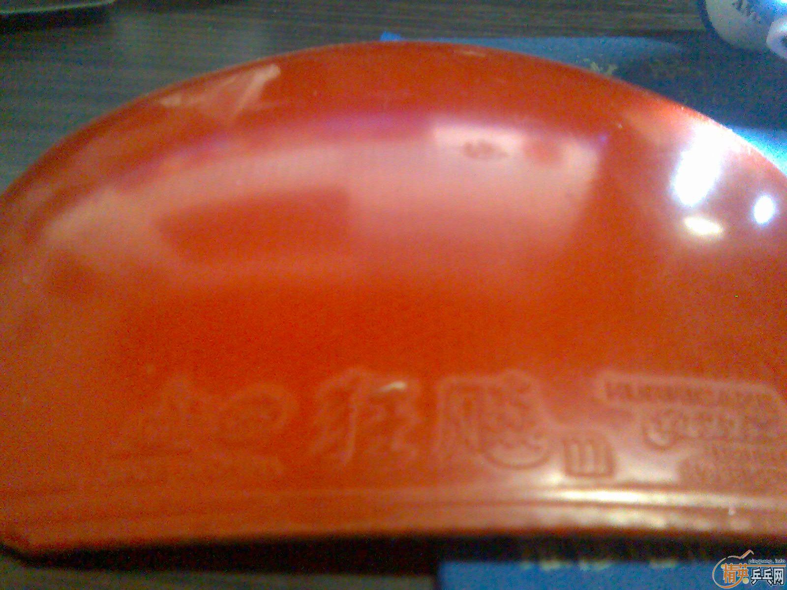 Ԫ����5�Ž�Ƥ