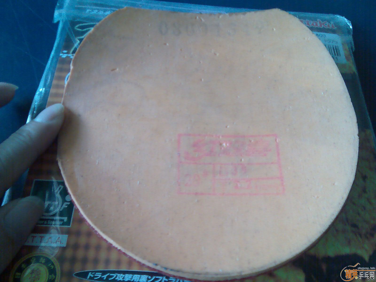 Ԫ����5�Ž�Ƥ