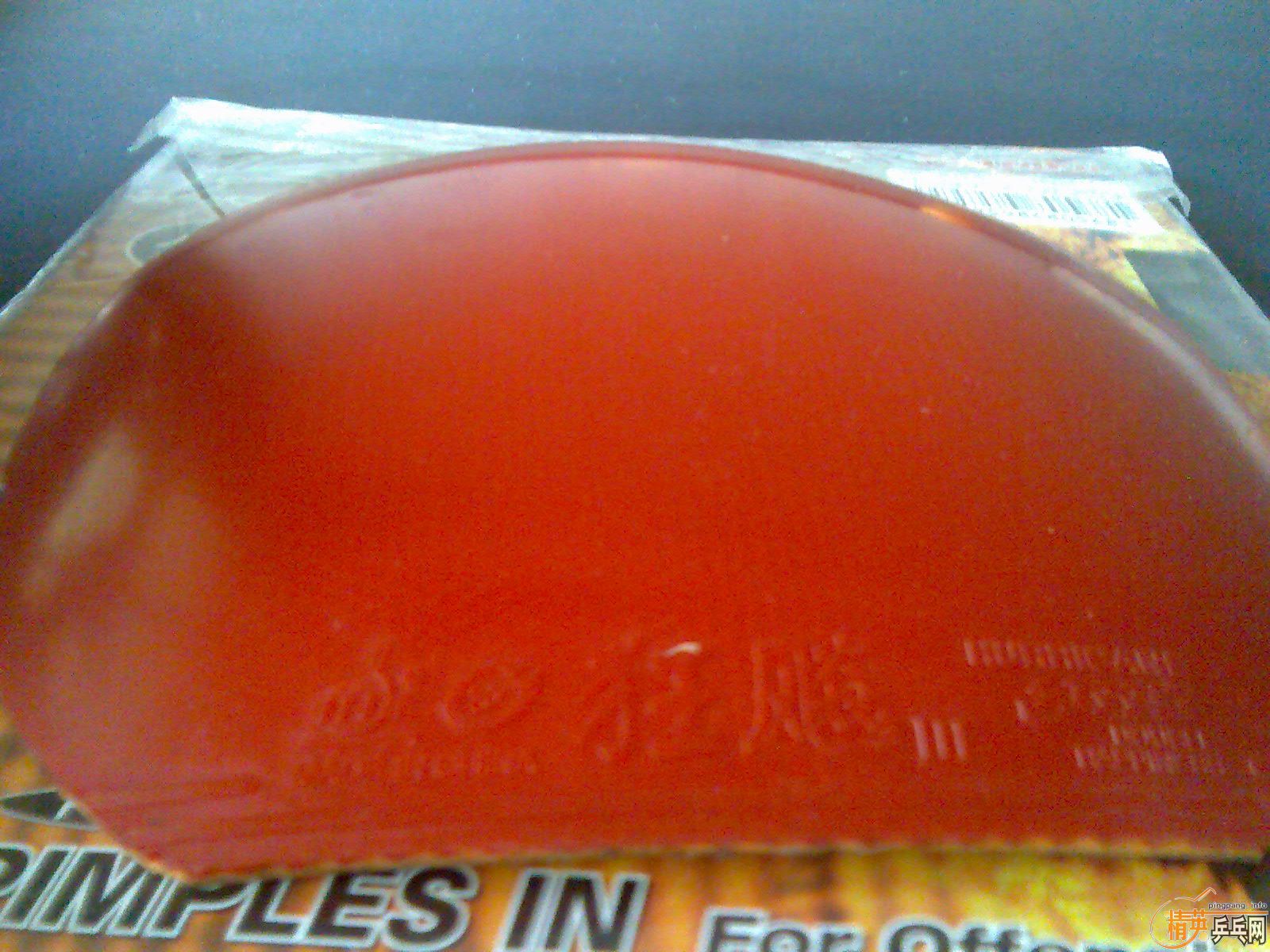 Ԫ����5�Ž�Ƥ