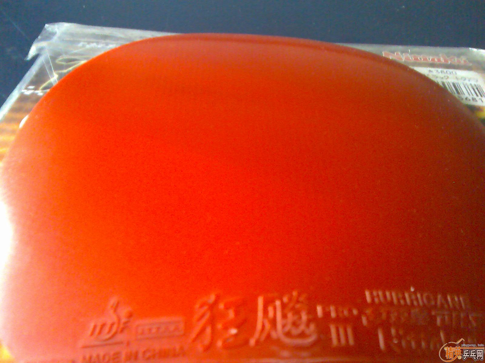 Ԫ����5�Ž�Ƥ