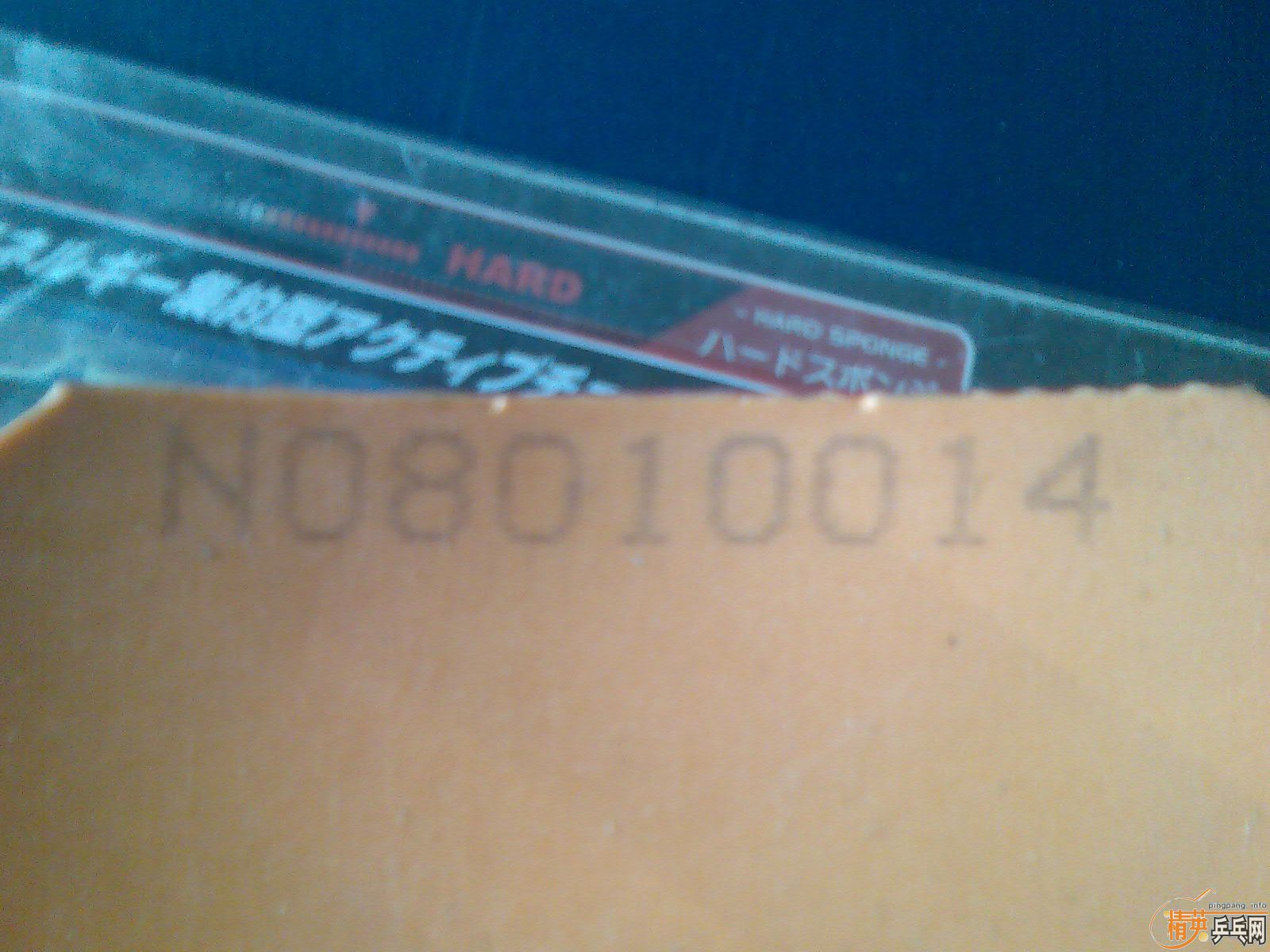 Ԫ����5�Ž�Ƥ