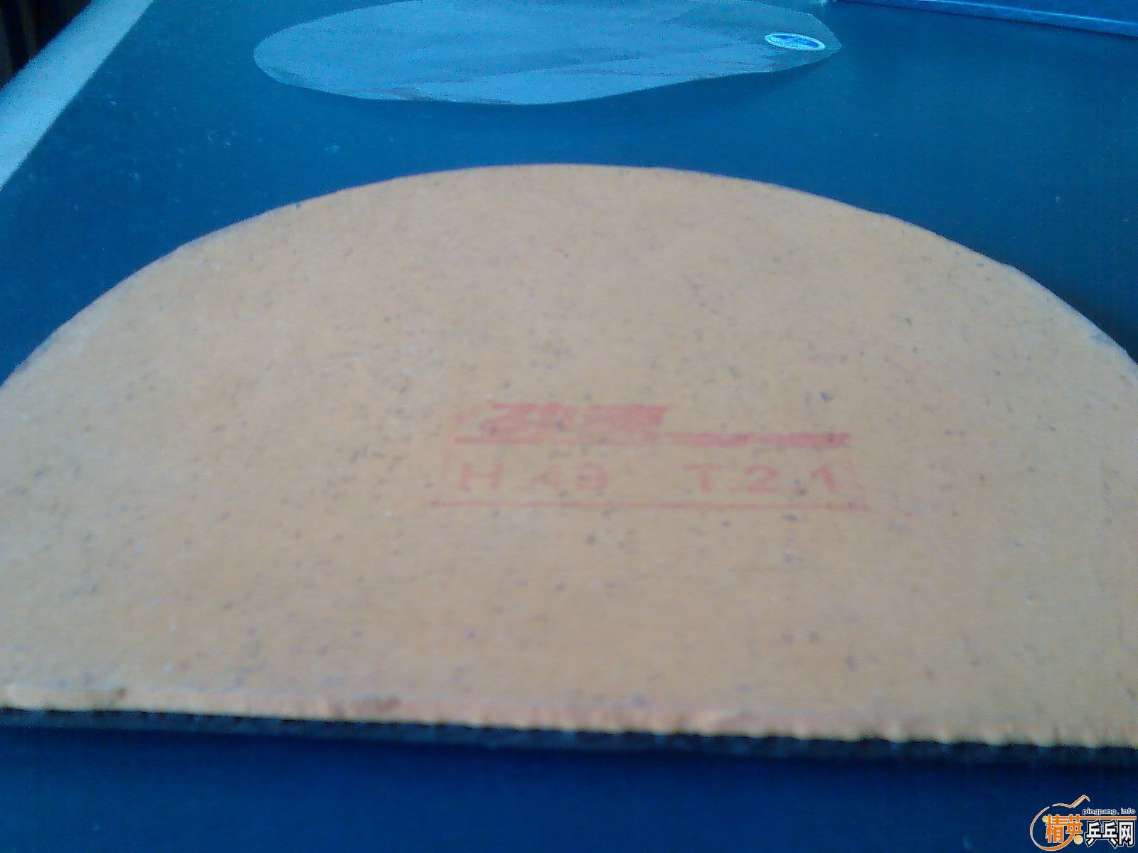 Ԫ����5�Ž�Ƥ