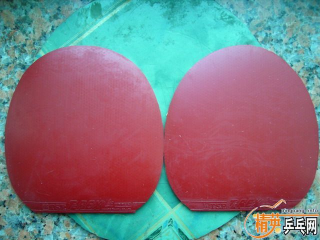 ��NITTAKU Moristo RS ��TSP T-REX��TSP 730~