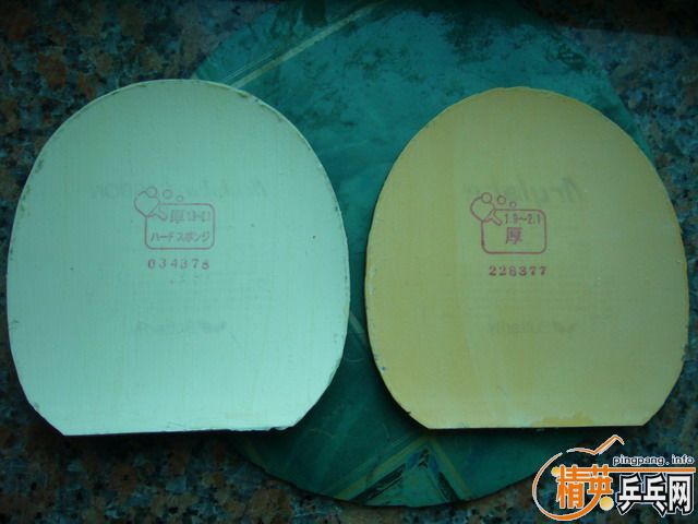 ��NITTAKU Moristo RS ��TSP T-REX��TSP 730~