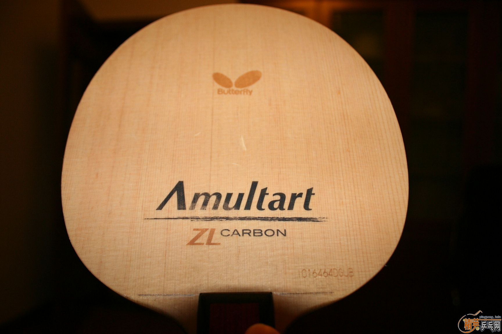 ��֧������ ��������Amultart��