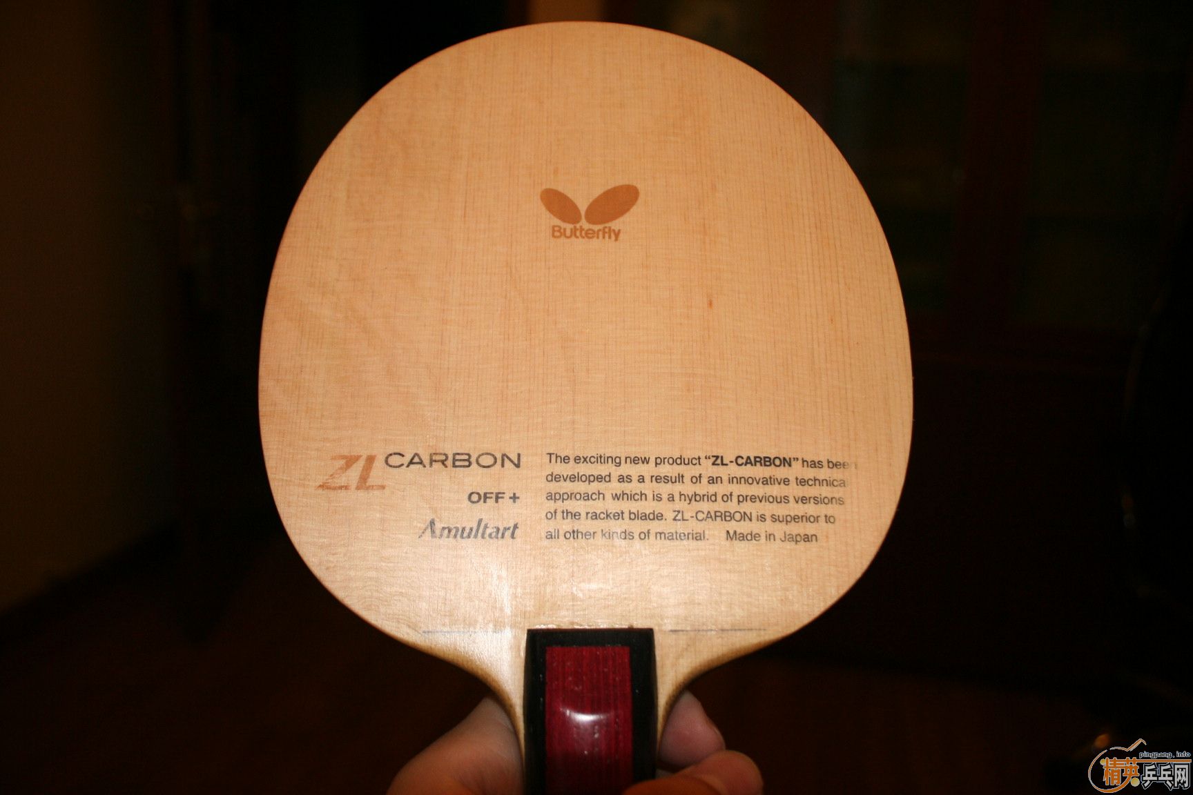 ��֧������ ��������Amultart��