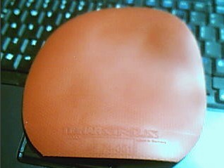 ͦ�γ����٣�һ����150����===========