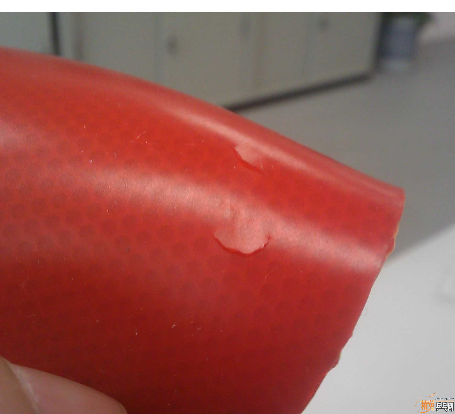 �Գ���������SRIVER-EL ��G3-FX��95�£�������������