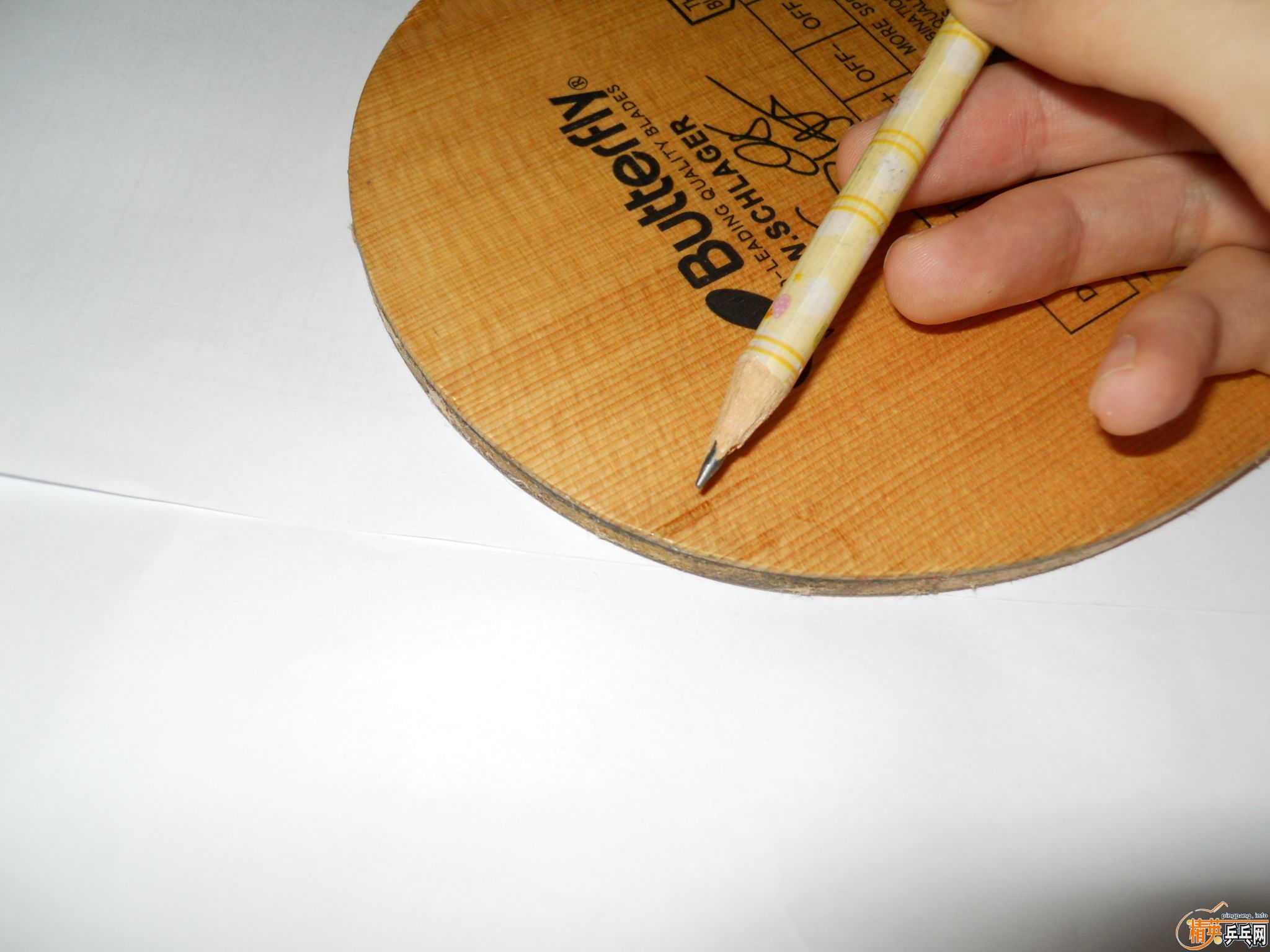 ��������û�¸ɣ���һֻ9������������ʩ̼��Ʒ��һ������39������EL������