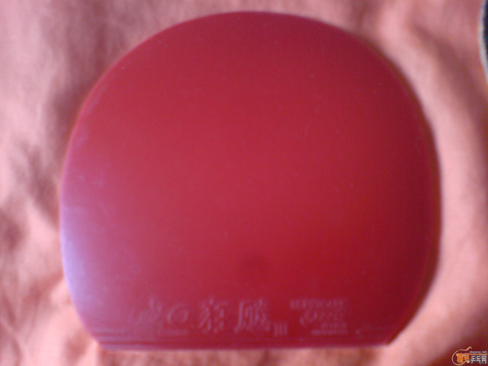 ���ڴ������ˣ������������׽��ɣ�����Ȥ��������