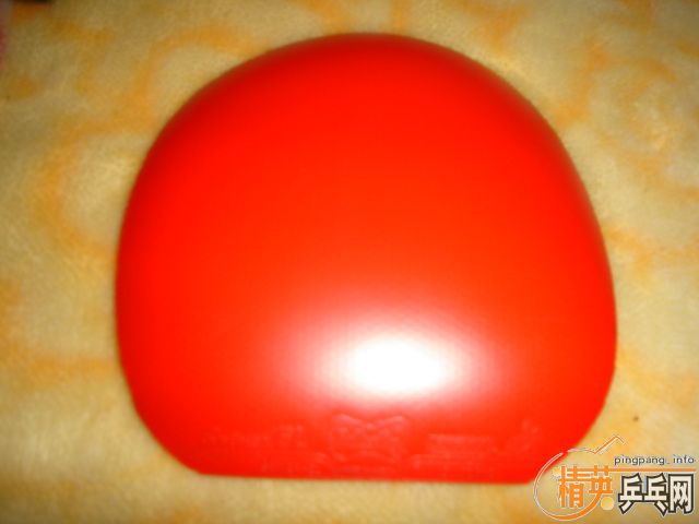 96��EL-MAX     90���ʡ�֧������