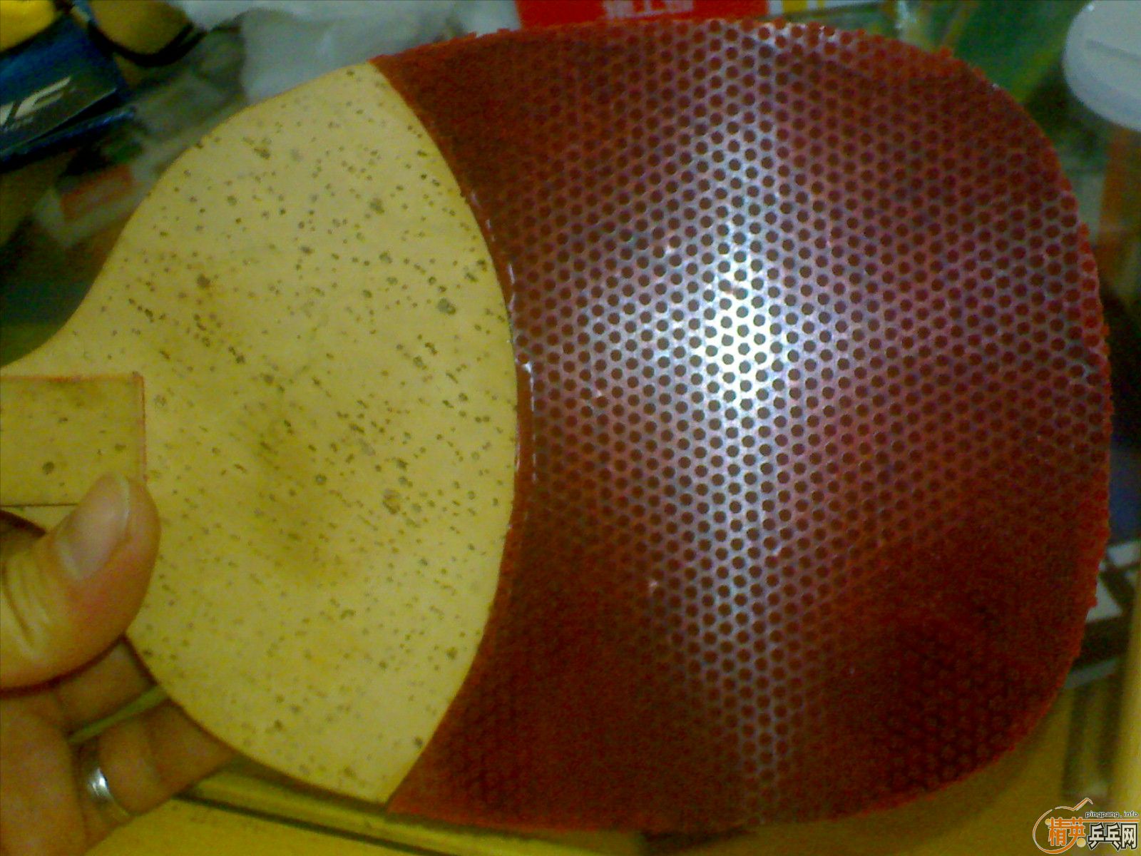 ���ӵ�����ֱ982 �ӽ�Ƥ ���� el