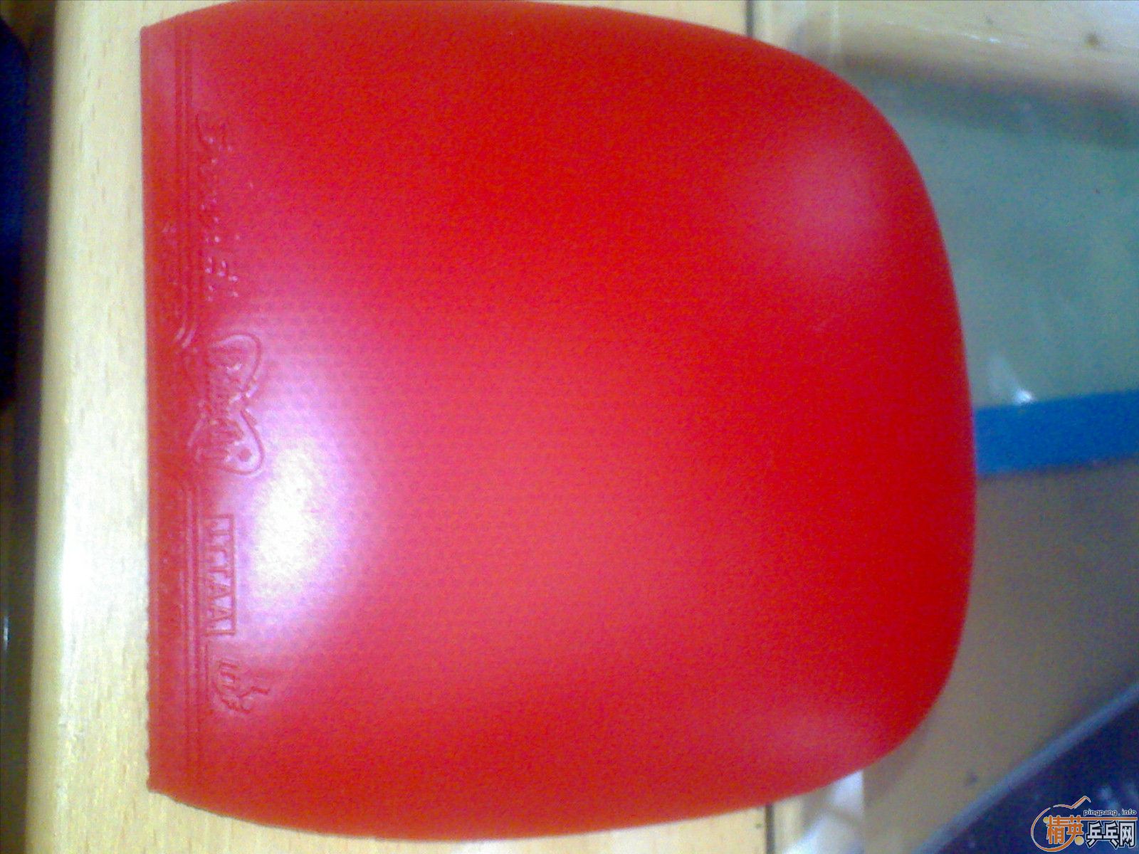 ���ӵ�����ֱ982 �ӽ�Ƥ ���� el