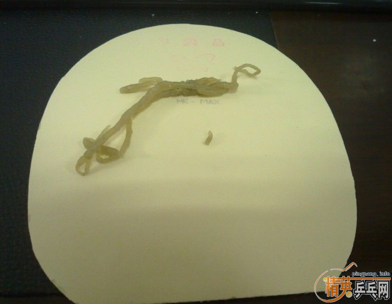 ���ճ�ǿ�� 9999�·������SPEED