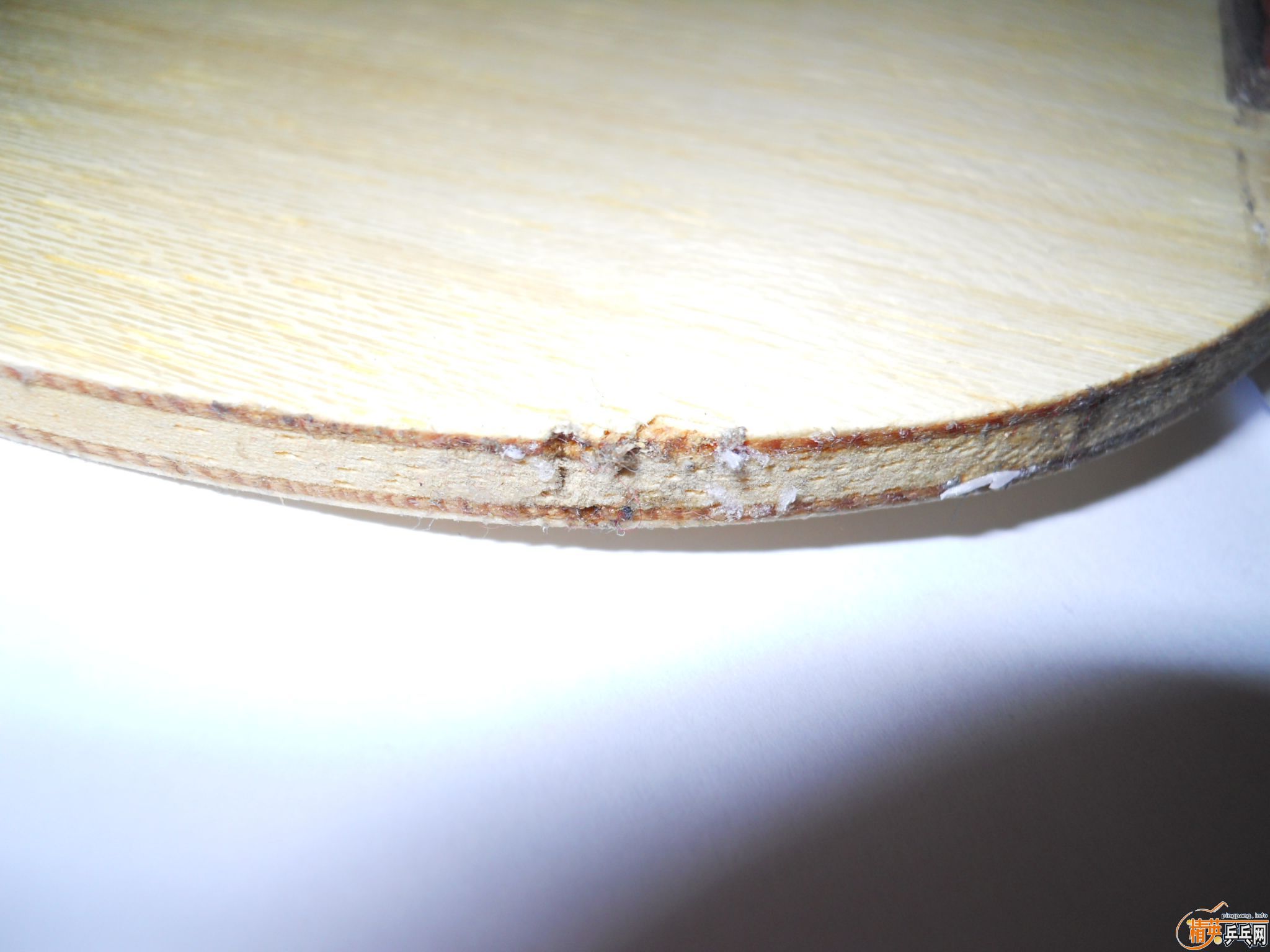 &&&&&&&&&&&&&&&&&֧����������������FL��ľ&&&&&&&&&&&&&&&&&&&&&&&&