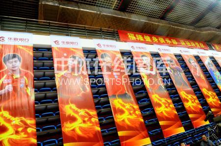 ��ƹ��ѡ��������