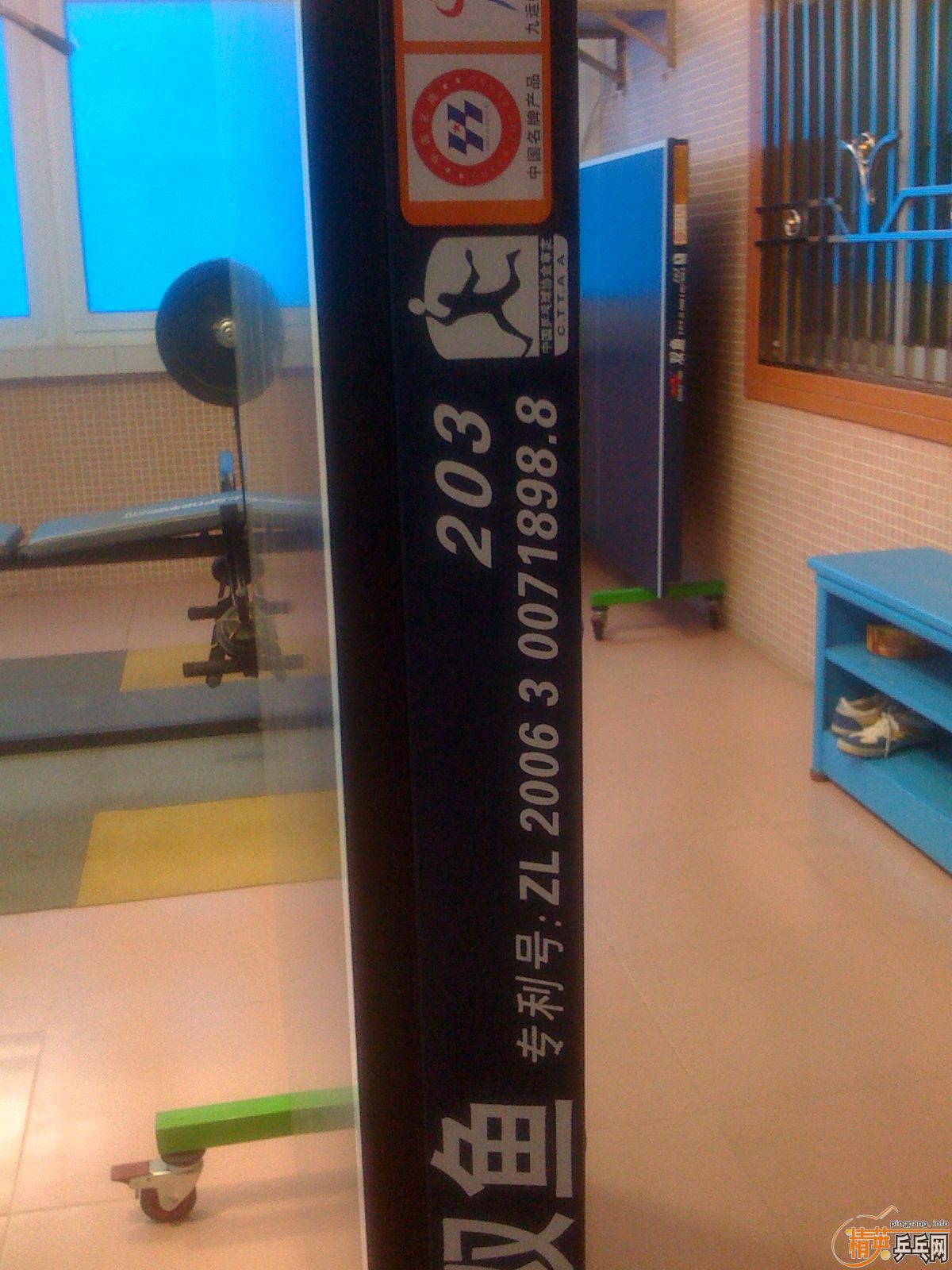 ������˫��203ƹ����̨