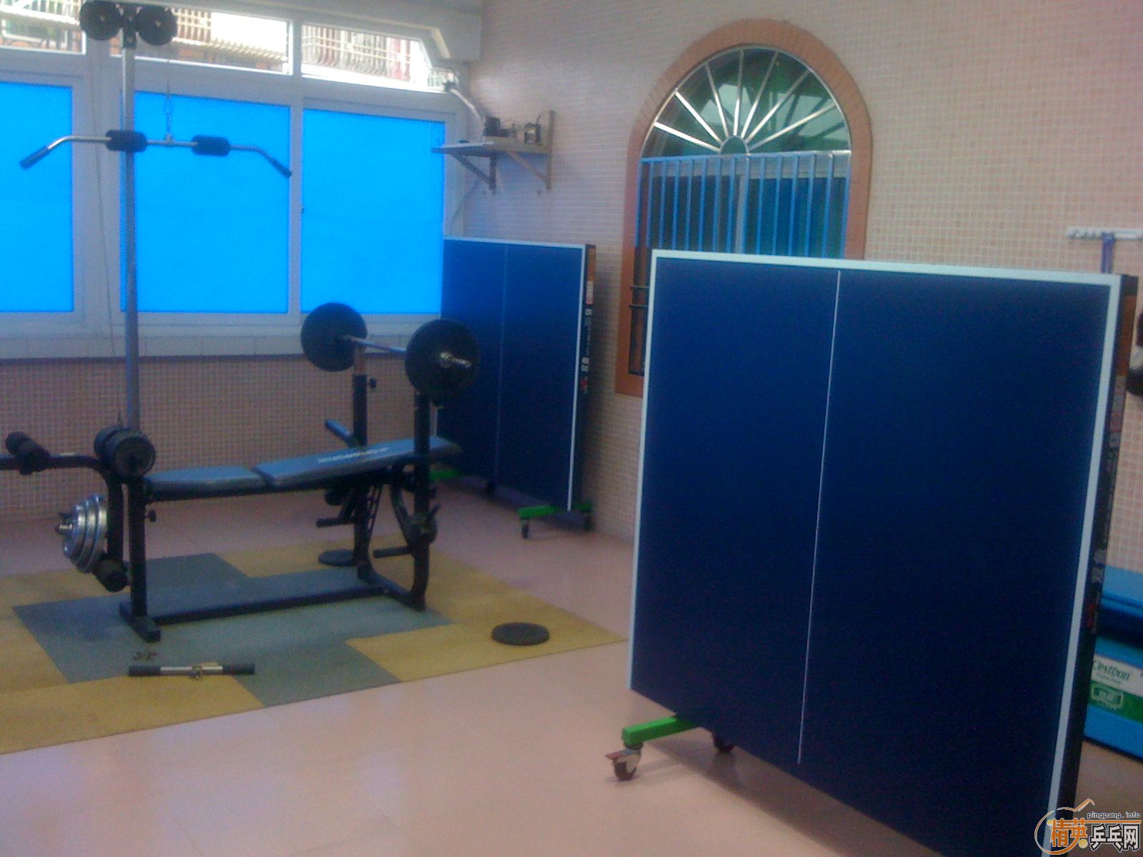 ������˫��203ƹ����̨