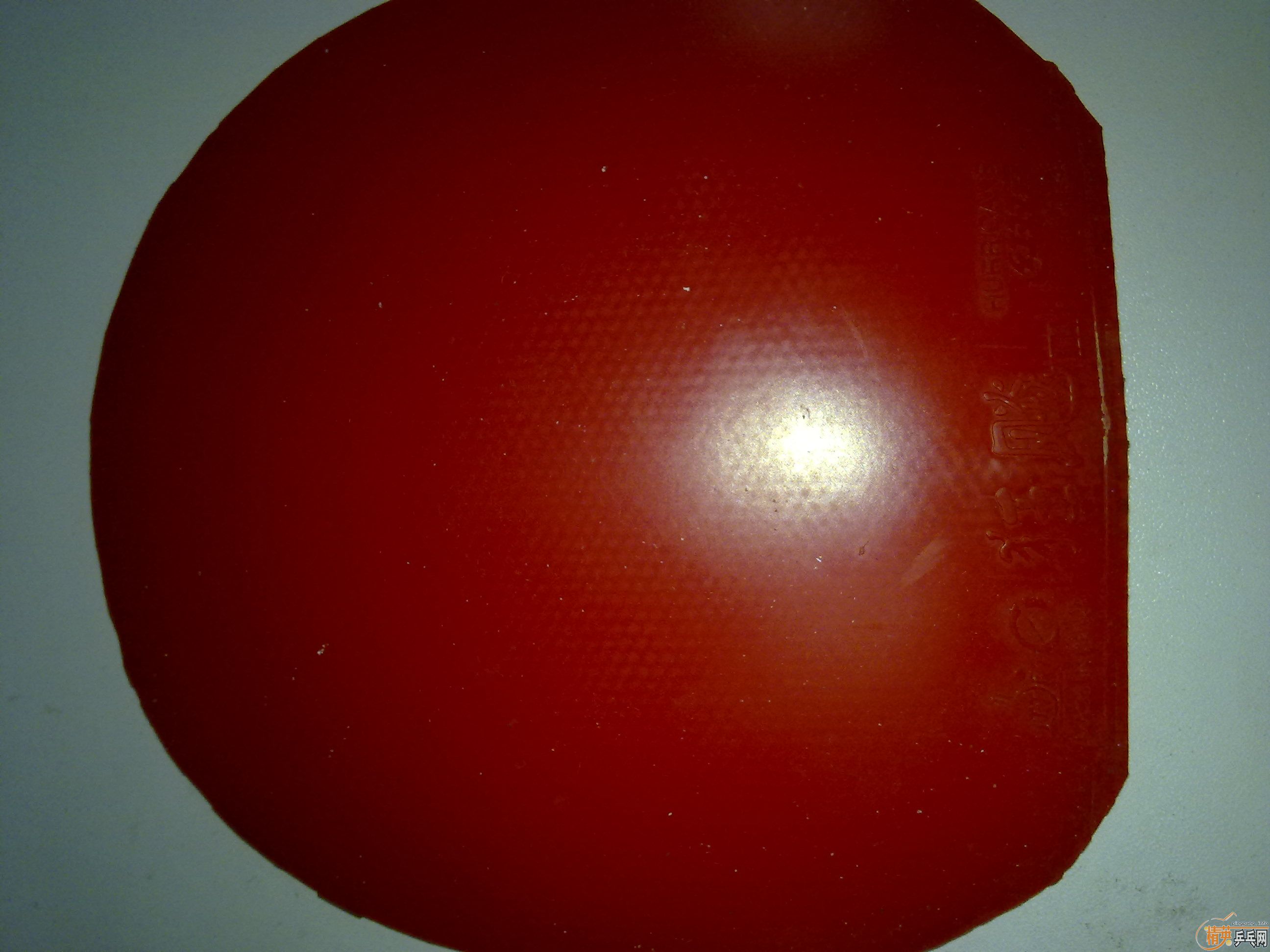 �� ʡ��3��BANDA CHINA TS ��el��