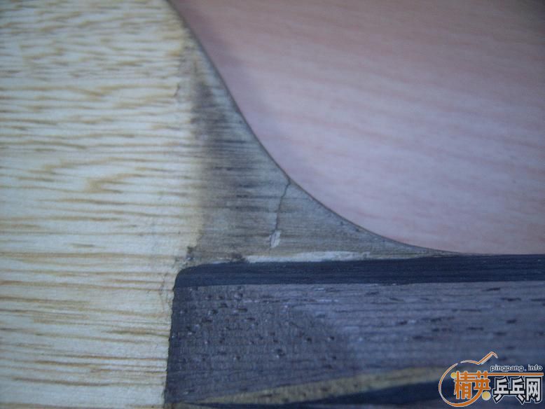 ����yasaka ���� �������ձ���̼����