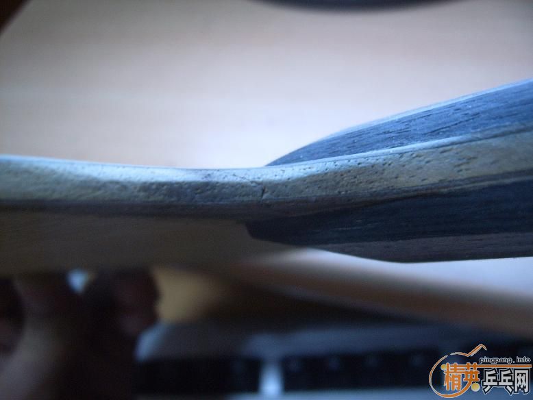 ����yasaka ���� �������ձ���̼����