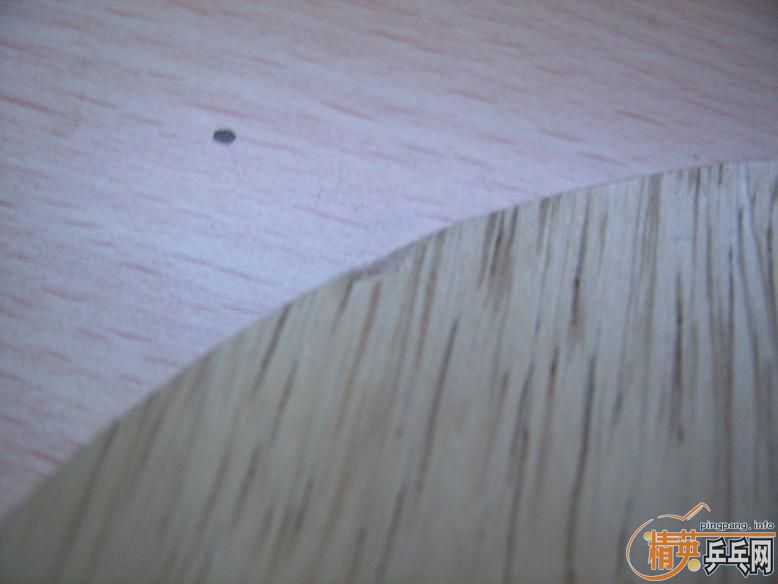 ����yasaka ���� �������ձ���̼����