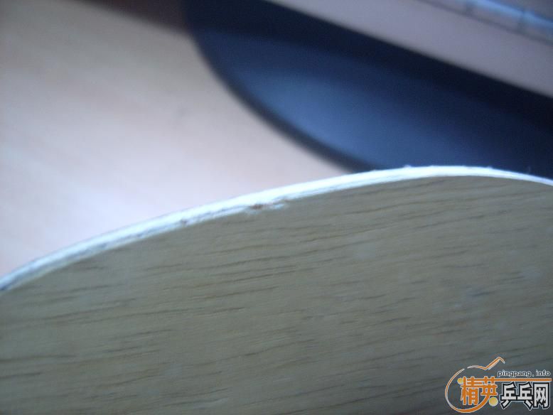 ����yasaka ���� �������ձ���̼����