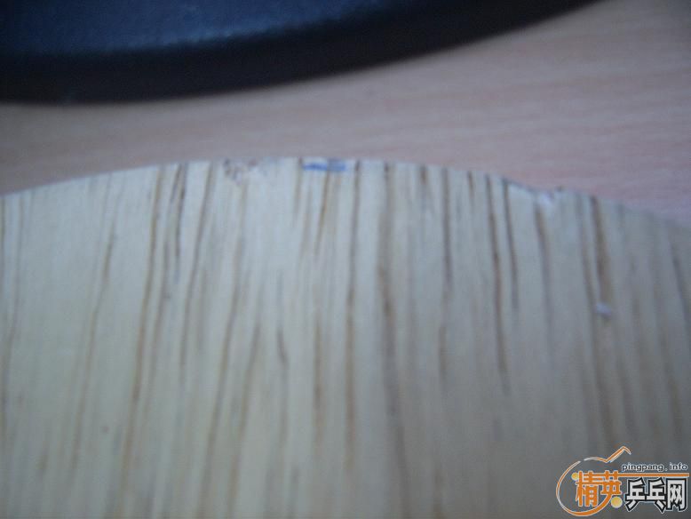 ����yasaka ���� �������ձ���̼����