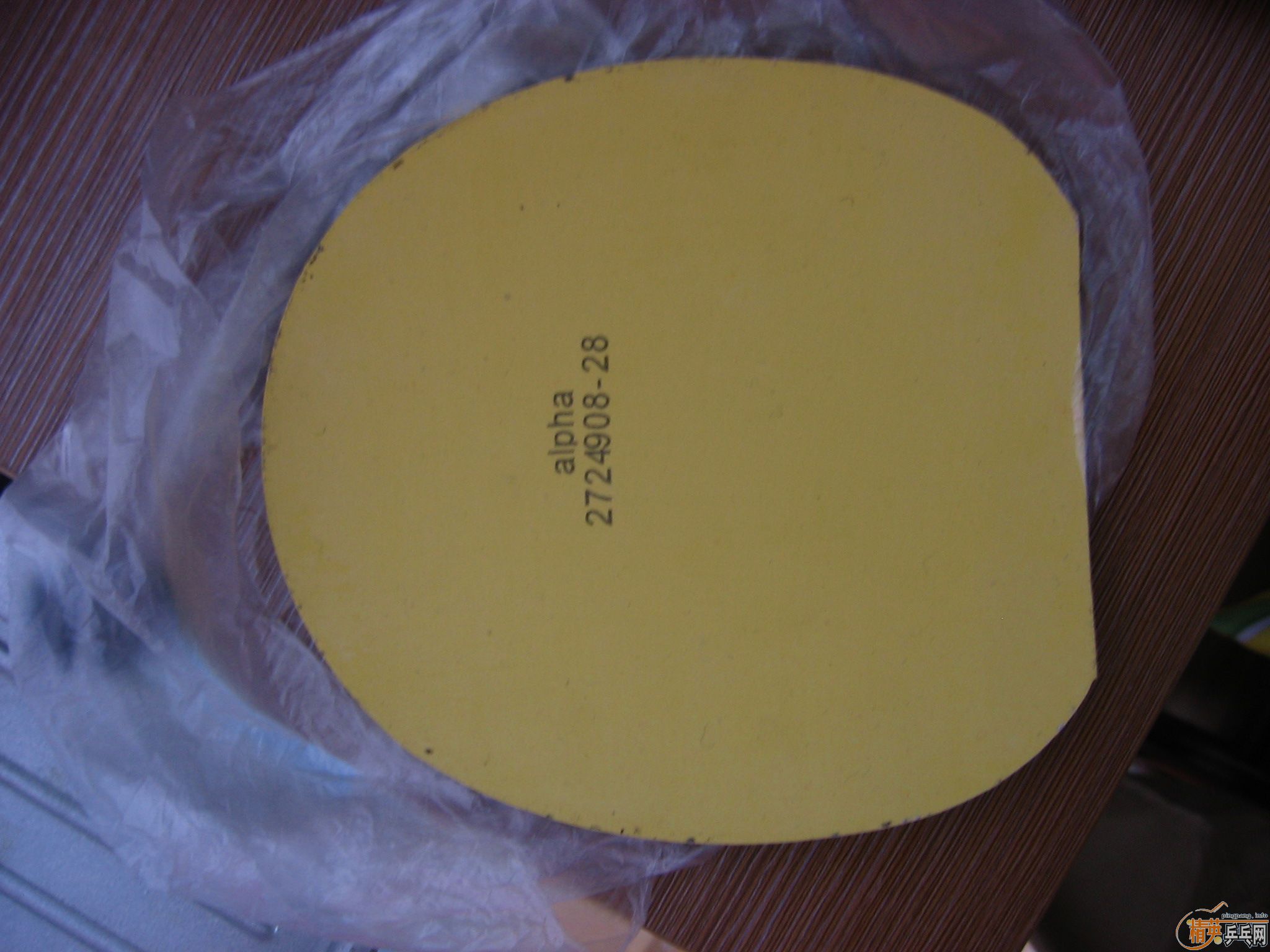 �� ͦ�γ����ٰ������׽� ��֧����