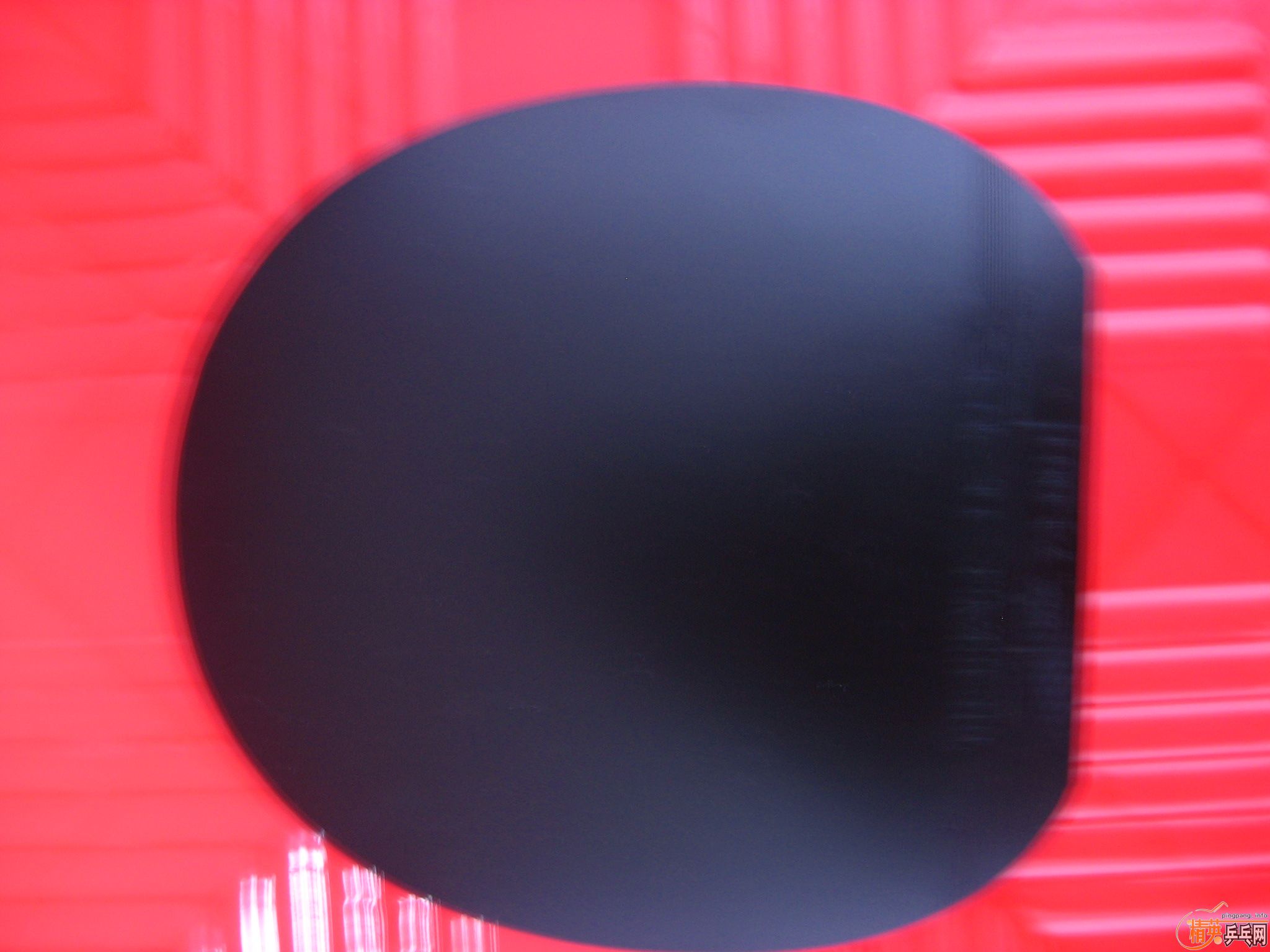 �� ͦ�γ����ٰ������׽� ��֧����