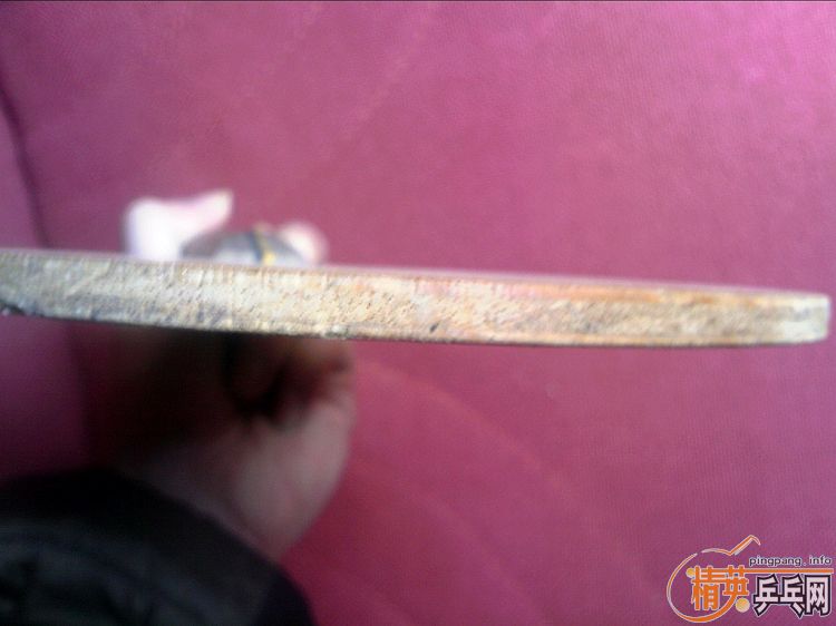 �㶫�����������3�Ͱ����ľ