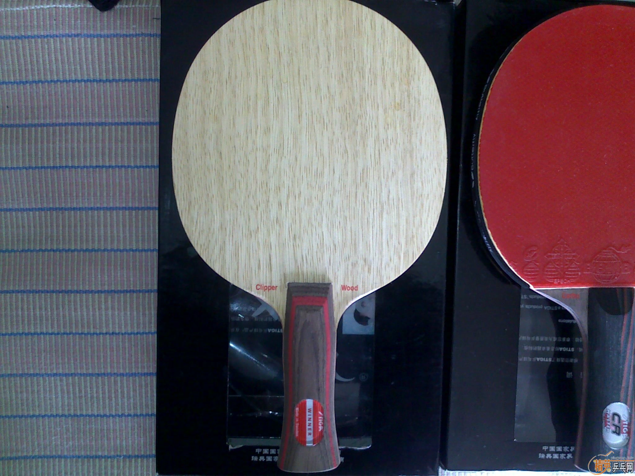 ֻ���һ�ε�˹�ۿ�CL����ļ���,���������AN��